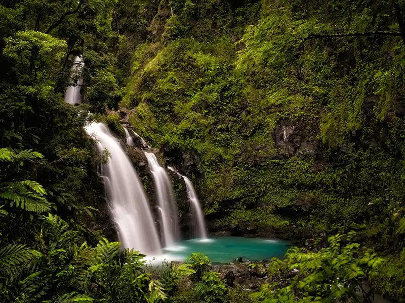 Hawaii Business Lawyers 8 Environmental Law | Hawaii